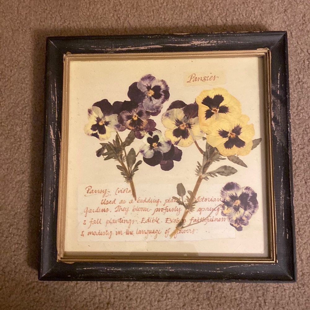 Creative CoOp Pansy Frame
